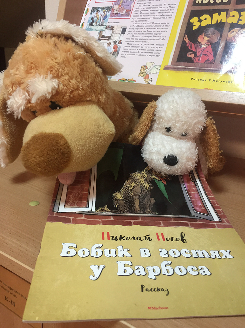 IMG_0362-15-03-20-05-56